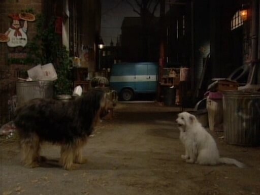 Season 5 Episode 14: Look Who’s Barking