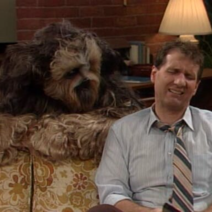 Scene from Married with Children Buck Can Do It episode featuring Buck the dog